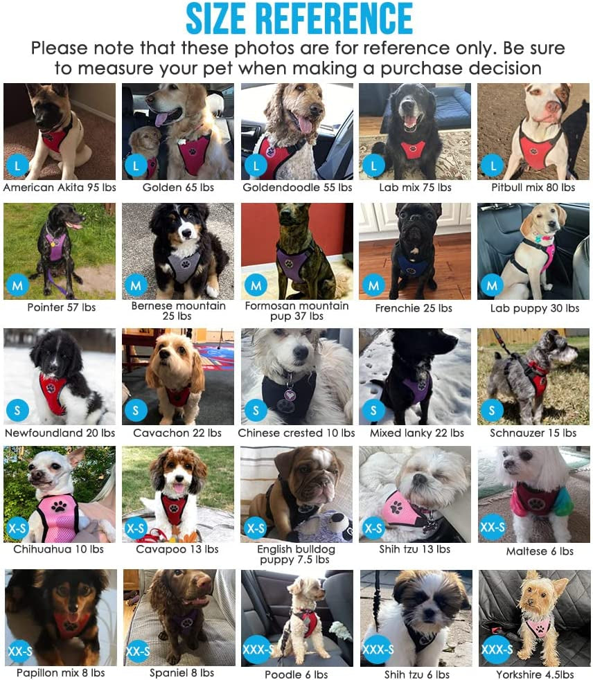 Dog Seat Belt - Adjustable Dog Car Harness for Large, Medium & Small Dogs, Soft Padded & Breathable Mesh Dog Seatbelt with Car Vehicle Connector Strap (Blue Double Clip, Medium)