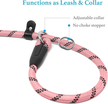 Durable Slip Lead Dog Leash with Padded Handle and Highly Reflective Threads, No Pull Dog Training Leash, (3/8" X 6 FT, Baby Pink)
