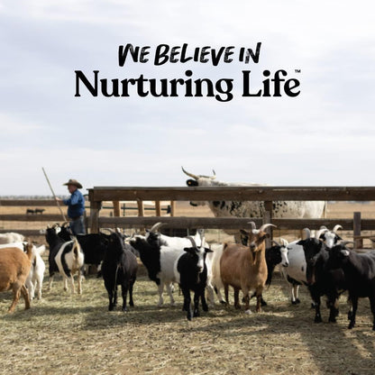 Goat Treats, Licorice Flavor, Nutritious Goat Snacks with Oatmeal, Great Goat Supplements Alternative, Ideal for Goats, Sheep & Small Livestock, 6 Lb